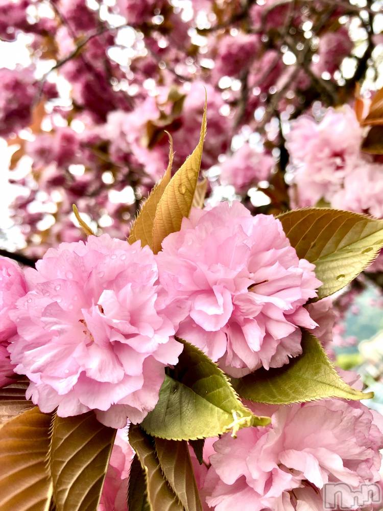 長岡デリヘル長岡人妻市(ナガオカヒトヅマイチ) ななみ★色褪せない『素人感』。(35)の1月4日写メブログ「2024年　能登半島地震のお見舞い」