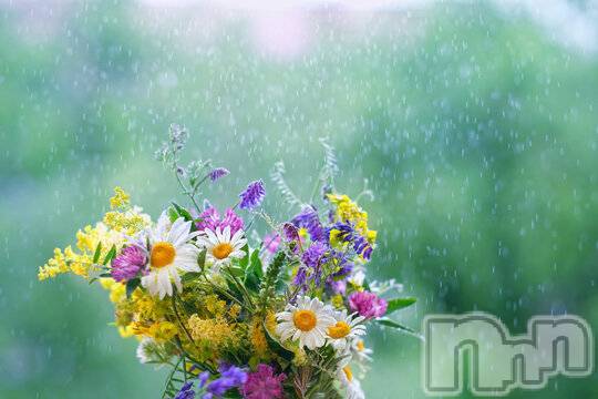 長岡デリヘル長岡人妻市(ナガオカヒトヅマイチ) ななみ★色褪せない『素人感』。(35)の6月23日写メブログ「繋がりを大事に🍀」