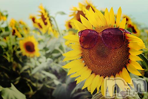長岡デリヘル長岡人妻市(ナガオカヒトヅマイチ) ななみ★色褪せない『素人感』。(35)の7月14日写メブログ「今日も彼らはパワフル」