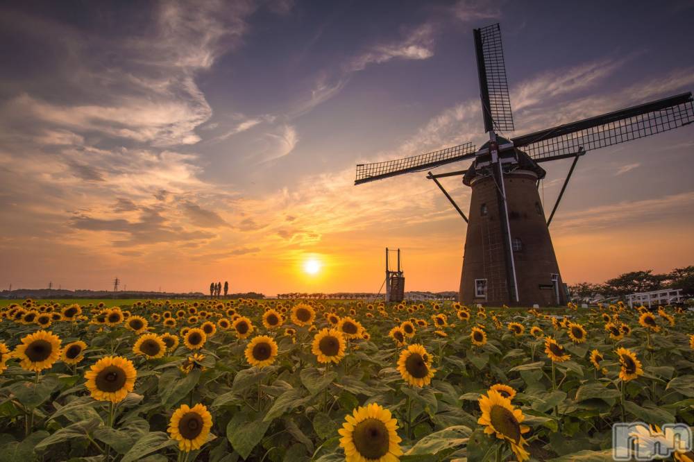 長岡デリヘル長岡人妻市(ナガオカヒトヅマイチ) ななみ★色褪せない『素人感』。(35)の8月5日写メブログ「涼をとりましょ👻」