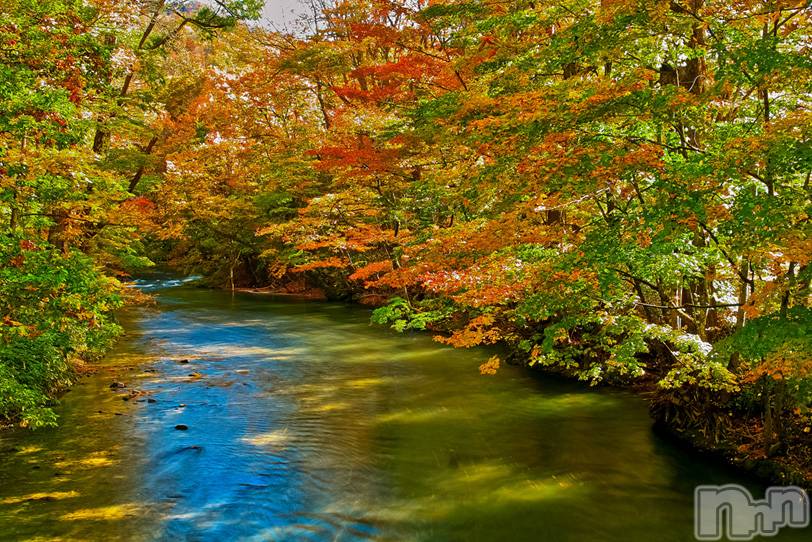 長岡デリヘル長岡人妻市(ナガオカヒトヅマイチ) ななみ★色褪せない『素人感』。(35)の9月5日写メブログ「今日も元気に」