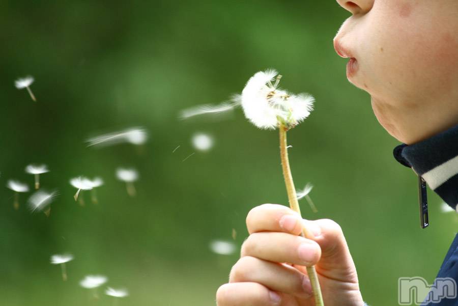 長岡デリヘル長岡人妻市(ナガオカヒトヅマイチ) ななみ★色褪せない『素人感』。(35)の9月19日写メブログ「ひっきりなしに」