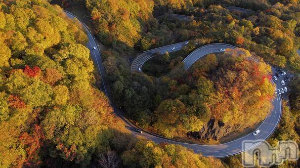 長岡デリヘル長岡人妻市(ナガオカヒトヅマイチ) ななみ★色褪せない『素人感』。(35)の2月27日写メブログ「シール」