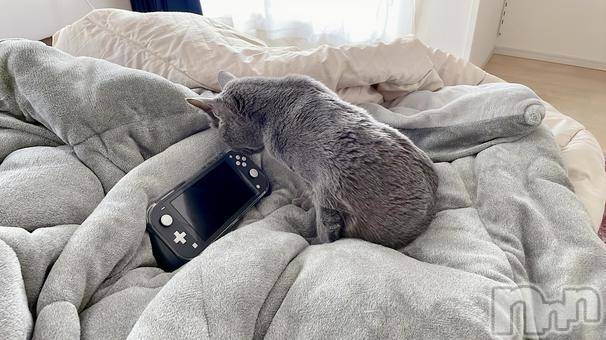 長岡デリヘル長岡人妻市(ナガオカヒトヅマイチ) ななみ★色褪せない『素人感』。(35)の4月20日写メブログ「憂鬱」