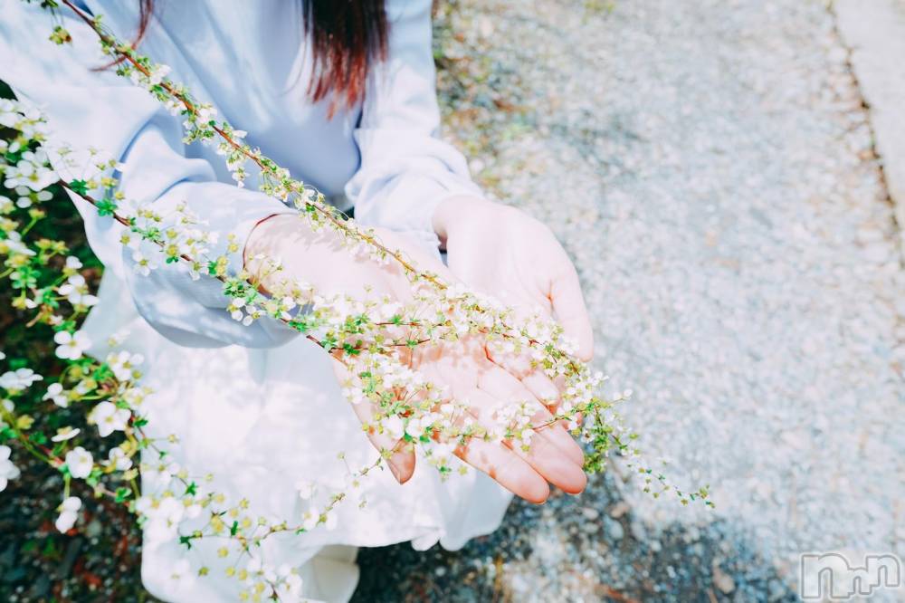 長岡デリヘル長岡人妻市(ナガオカヒトヅマイチ) ななみ★色褪せない『素人感』。(35)の4月21日写メブログ「珍しく月曜出勤」