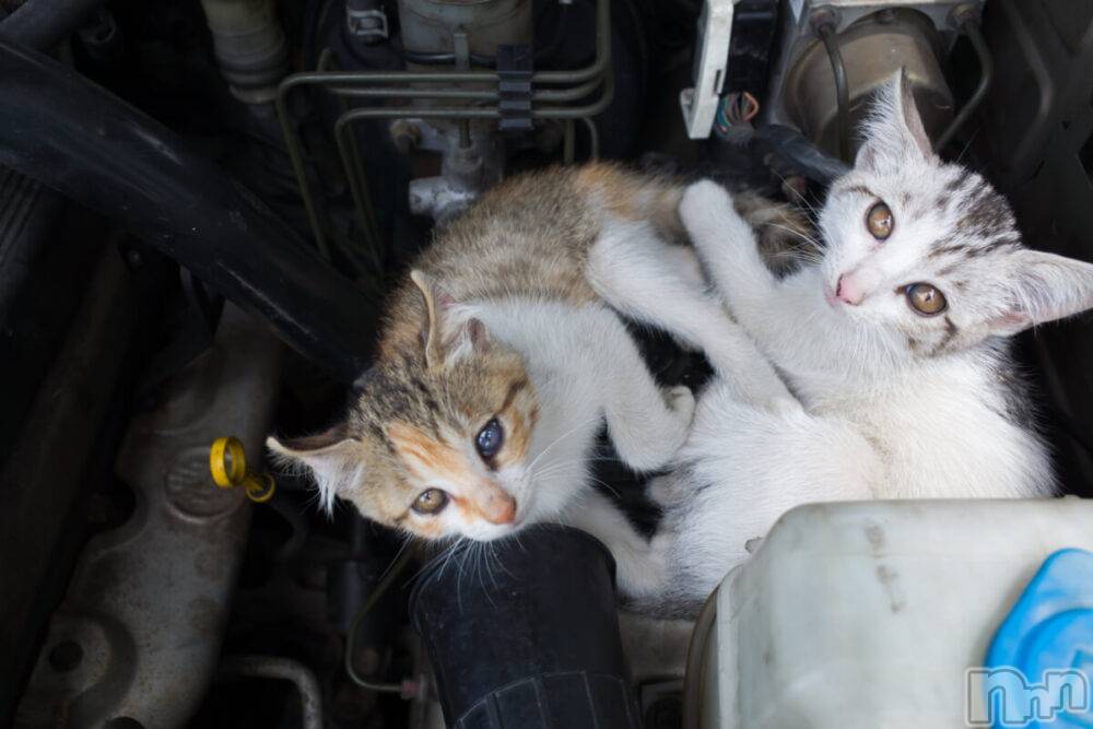 長岡デリヘル長岡人妻市(ナガオカヒトヅマイチ) ななみ★色褪せない『素人感』。(35)の6月10日写メブログ「お願い🙇🏻‍♀️」