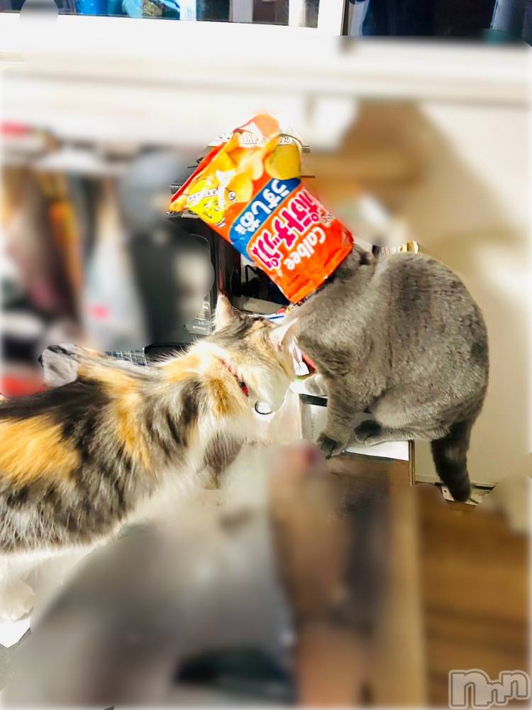 長岡デリヘル長岡人妻市(ナガオカヒトヅマイチ) ななみ★色褪せない『素人感』。(35)の12月21日写メブログ「洗い上がり」