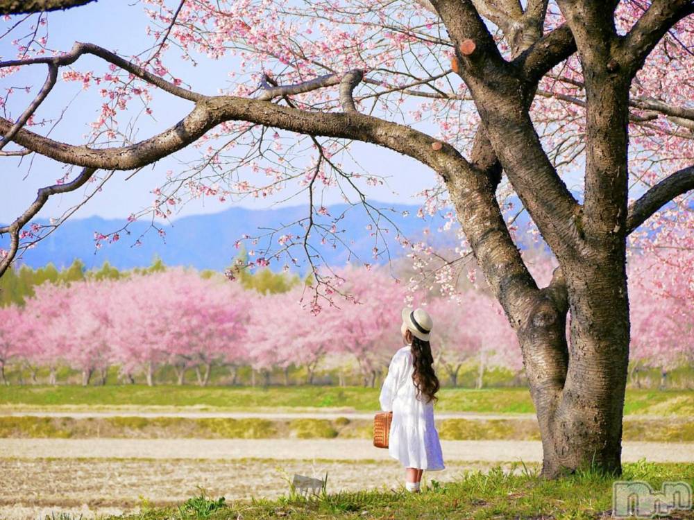 長岡デリヘル長岡人妻市(ナガオカヒトヅマイチ) ななみ★色褪せない『素人感』。(35)の3月19日写メブログ「悩み」