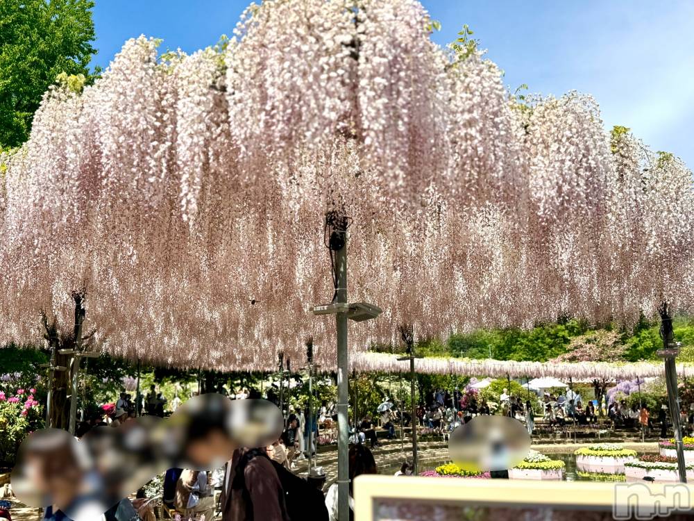 長岡デリヘル長岡人妻市(ナガオカヒトヅマイチ) ななみ★色褪せない『素人感』。(35)の4月20日写メブログ「行ってきました🎶」