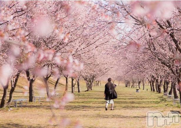 長岡デリヘル長岡人妻市(ナガオカヒトヅマイチ)ななみ★色褪せない『素人感』。(35)の2025年4月22日写メブログ「待機中に、まとまりがなく…」