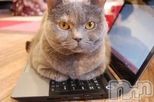 長岡人妻デリヘル長岡人妻市(ナガオカヒトヅマイチ)ななみ★これぞ『素人妻』代表！(35)の2025年9月15日写メブログ「甘えたい💓」