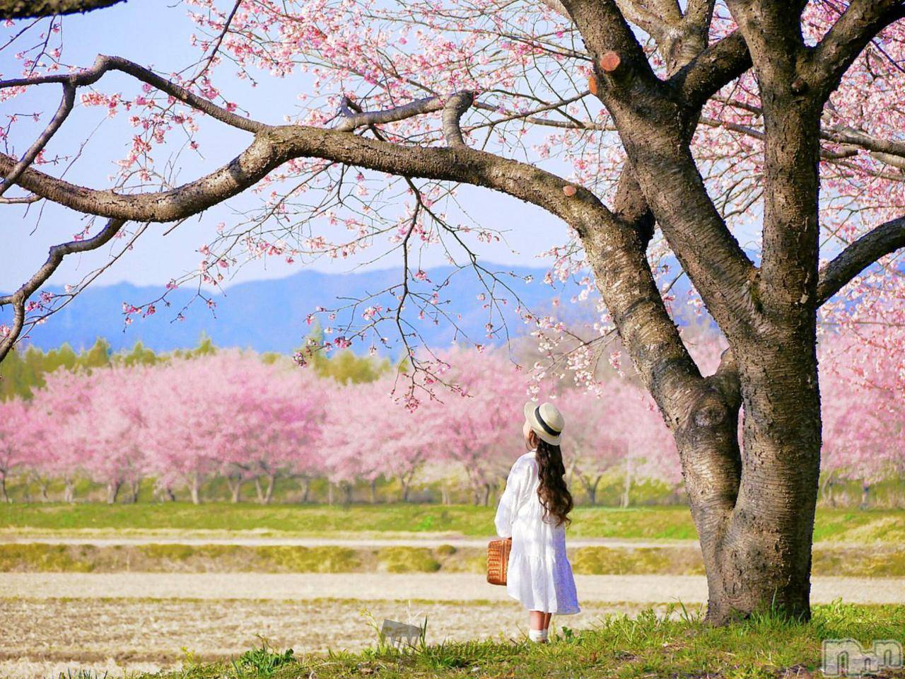 長岡デリヘル長岡人妻市(ナガオカヒトヅマイチ)ななみ★色褪せない『素人感』。(35)の2026年3月19日写メブログ「悩み」