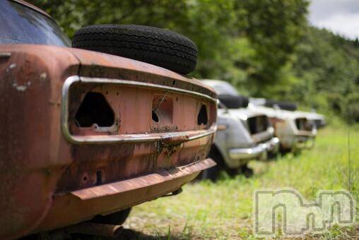 長岡デリヘル長岡人妻市(ナガオカヒトヅマイチ)ななみ★色褪せない『素人感』。(35)の2026年3月29日写メブログ「あの時期です」