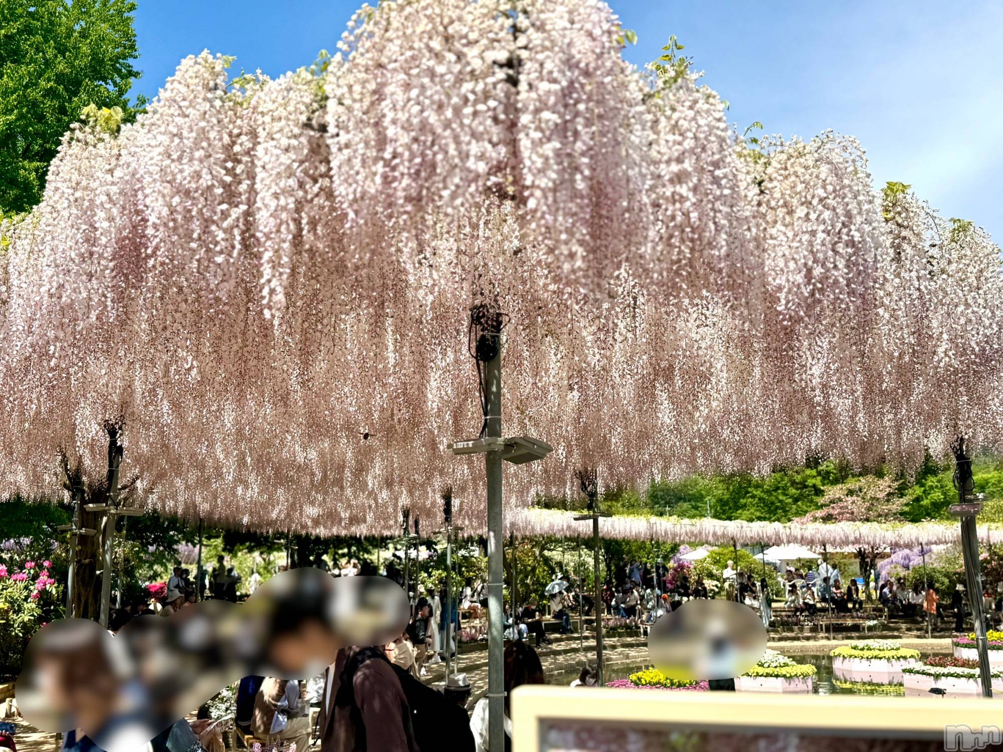 長岡デリヘル長岡人妻市(ナガオカヒトヅマイチ)ななみ★色褪せない『素人感』。(35)の2026年4月20日写メブログ「行ってきました🎶」