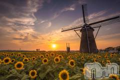 長岡デリヘル長岡人妻市(ナガオカヒトヅマイチ) ななみ★色褪せない『素人感』。(35)の8月5日写メブログ「涼をとりましょ👻」