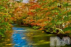 長岡デリヘル長岡人妻市(ナガオカヒトヅマイチ) ななみ★色褪せない『素人感』。(35)の9月5日写メブログ「今日も元気に」