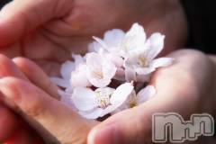 長岡デリヘル長岡人妻市(ナガオカヒトヅマイチ) ななみ★色褪せない『素人感』。(35)の2月1日写メブログ「準備」