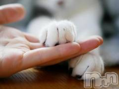 長岡デリヘル長岡人妻市(ナガオカヒトヅマイチ) ななみ★色褪せない『素人感』。(35)の8月10日写メブログ「まん丸な」