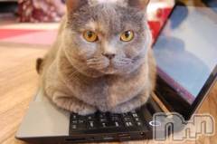 長岡デリヘル長岡人妻市(ナガオカヒトヅマイチ) ななみ★色褪せない『素人感』。(35)の9月15日写メブログ「甘えたい💓」