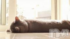 長岡デリヘル長岡人妻市(ナガオカヒトヅマイチ) ななみ★色褪せない『素人感』。(35)の10月20日写メブログ「うにゃうにゃ🐈‍⬛」