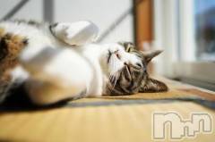 長岡デリヘル長岡人妻市(ナガオカヒトヅマイチ) ななみ★色褪せない『素人感』。(35)の10月27日写メブログ「ごろんごろん」