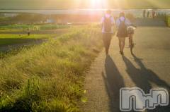 長岡デリヘル長岡人妻市(ナガオカヒトヅマイチ) ななみ★色褪せない『素人感』。(35)の11月14日写メブログ「🤫」