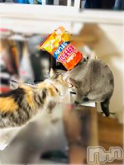 長岡デリヘル長岡人妻市(ナガオカヒトヅマイチ) ななみ★色褪せない『素人感』。(35)の12月21日写メブログ「洗い上がり」