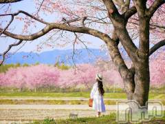 長岡デリヘル長岡人妻市(ナガオカヒトヅマイチ) ななみ★色褪せない『素人感』。(35)の3月19日写メブログ「悩み」