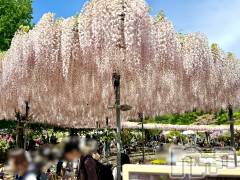 長岡デリヘル長岡人妻市(ナガオカヒトヅマイチ) ななみ★色褪せない『素人感』。(35)の4月20日写メブログ「行ってきました🎶」