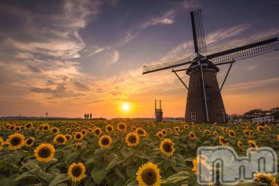 長岡デリヘル 長岡人妻市(ナガオカヒトヅマイチ) ななみ★色褪せない『素人感』。(35)の8月5日写メブログ「涼をとりましょ👻」