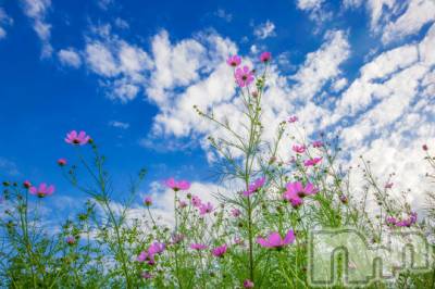長岡デリヘル 長岡人妻市(ナガオカヒトヅマイチ) ななみ★色褪せない『素人感』。(35)の8月17日写メブログ「続くもので…」