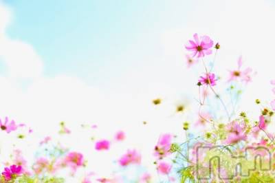 長岡デリヘル 長岡人妻市(ナガオカヒトヅマイチ) ななみ★色褪せない『素人感』。(35)の8月26日写メブログ「結局」