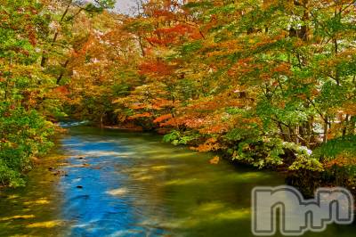 長岡デリヘル 長岡人妻市(ナガオカヒトヅマイチ) ななみ★色褪せない『素人感』。(35)の9月5日写メブログ「今日も元気に」