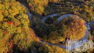 長岡デリヘル 長岡人妻市(ナガオカヒトヅマイチ) ななみ★色褪せない『素人感』。(35)の2月27日写メブログ「シール」