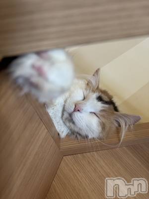 長岡デリヘル 長岡人妻市(ナガオカヒトヅマイチ) ななみ★色褪せない『素人感』。(35)の3月16日写メブログ「毎週の癒し」