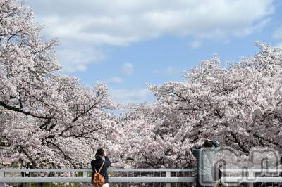 長岡デリヘル 長岡人妻市(ナガオカヒトヅマイチ) ななみ★色褪せない『素人感』。(35)の4月14日写メブログ「ゆっくりいきましょ」