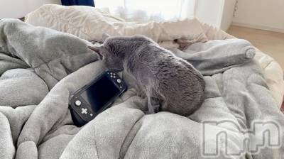 長岡デリヘル 長岡人妻市(ナガオカヒトヅマイチ) ななみ★色褪せない『素人感』。(35)の4月20日写メブログ「憂鬱」