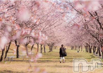 長岡デリヘル 長岡人妻市(ナガオカヒトヅマイチ) ななみ★色褪せない『素人感』。(35)の4月22日写メブログ「待機中に、まとまりがなく…」