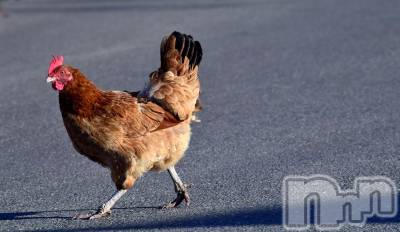 長岡デリヘル 長岡人妻市(ナガオカヒトヅマイチ) ななみ★色褪せない『素人感』。(35)の5月11日写メブログ「逃げ」