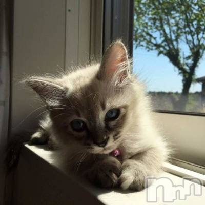 長岡デリヘル 長岡人妻市(ナガオカヒトヅマイチ) ななみ★色褪せない『素人感』。(35)の6月1日写メブログ「寄り添い」