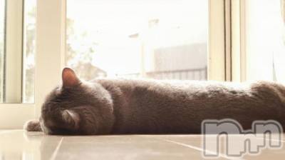 長岡デリヘル 長岡人妻市(ナガオカヒトヅマイチ) ななみ★色褪せない『素人感』。(35)の10月20日写メブログ「うにゃうにゃ🐈‍⬛」