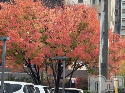 長岡デリヘル 長岡人妻市(ナガオカヒトヅマイチ) ななみ★色褪せない『素人感』。(35)の11月20日写メブログ「⬇︎どこのものでしょう？」