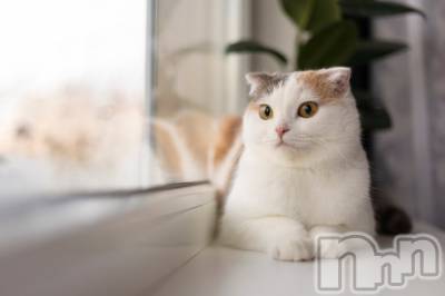 長岡デリヘル 長岡人妻市(ナガオカヒトヅマイチ) ななみ★色褪せない『素人感』。(35)の1月18日写メブログ「めり込むアレ」