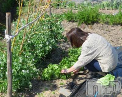長岡デリヘル 長岡人妻市(ナガオカヒトヅマイチ) ななみ★色褪せない『素人感』。(35)の4月16日写メブログ「コツ」