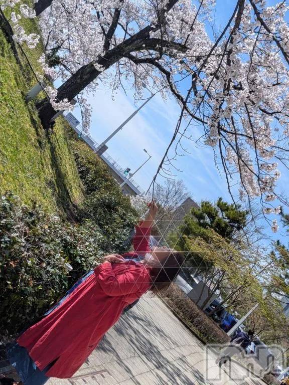 新潟デリヘル熟女の風俗 最終章(ジュクジョノフウゾクサイシュウショウ) りょう(50)の4月6日写メブログ「【お礼写メ日記】ありがとう💋」