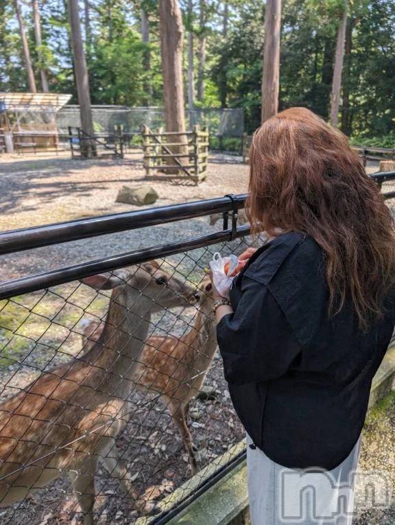 新潟デリヘル熟女の風俗 最終章(ジュクジョノフウゾクサイシュウショウ)りょう(49)の2025年11月15日写メブログ「母‥早起き‥‥おやすみday」