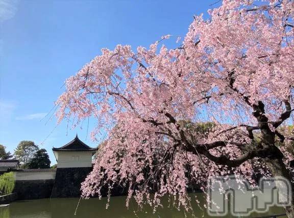 新潟デリヘル熟女の風俗 最終章(ジュクジョノフウゾクサイシュウショウ)りょう(50)の2026年3月26日写メブログ「優しい時間をありがとう🌸」