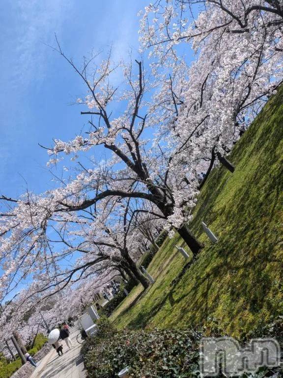 新潟デリヘル熟女の風俗 最終章(ジュクジョノフウゾクサイシュウショウ)りょう(50)の2026年4月6日写メブログ「✨Yちゃんへ💖」