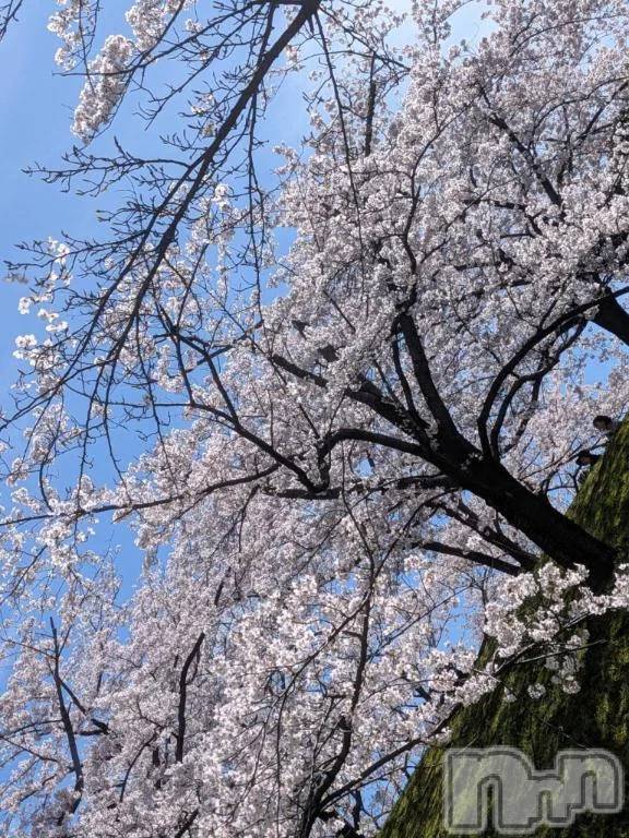 新潟デリヘル熟女の風俗 最終章(ジュクジョノフウゾクサイシュウショウ)りょう(50)の2026年4月6日写メブログ「✨Sさんへ✨」