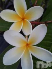 新潟デリヘル熟女の風俗 最終章(ジュクジョノフウゾクサイシュウショウ) りょう(50)の8月3日写メブログ「明日のご予約ありがとう御座います」